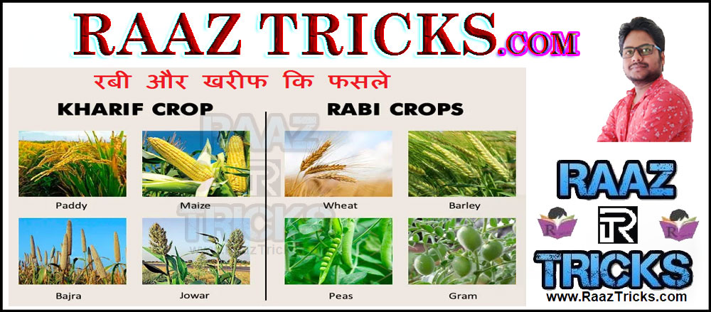 rabi-and-kharif-crops-raaz-tricks-all