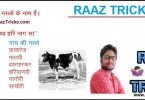Name Of Major Breeds Of Cow Min